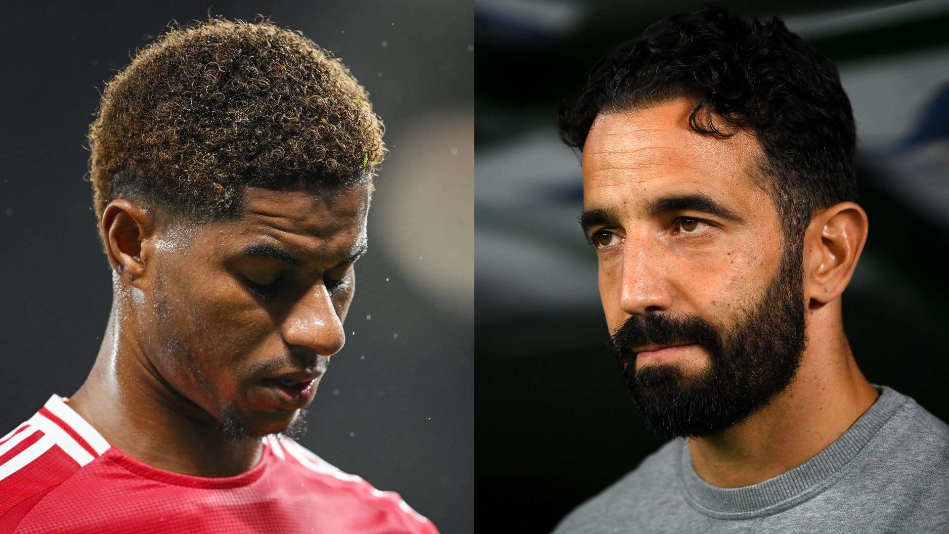 的战术指导 的战术指导