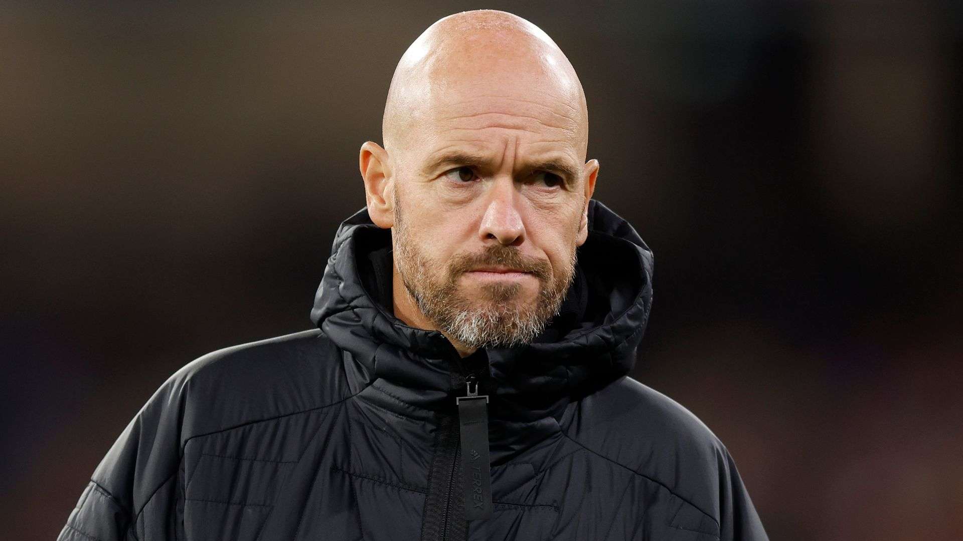 作为近几年 作为近几年